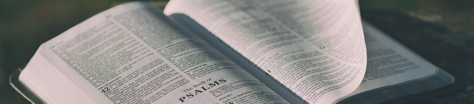 LMI | Bible Teaching Courses